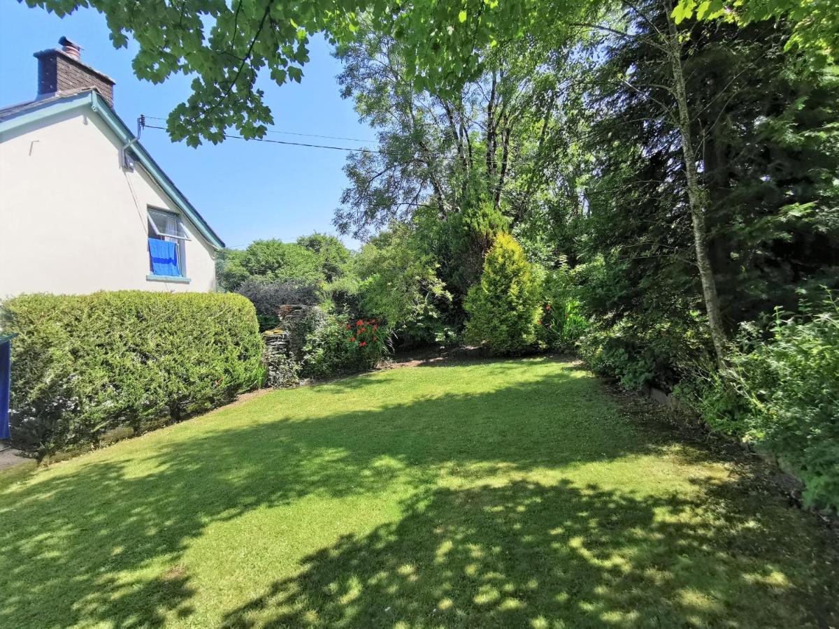 Wellstone Cottages - Jasmine Llanfyrnach Exterior foto