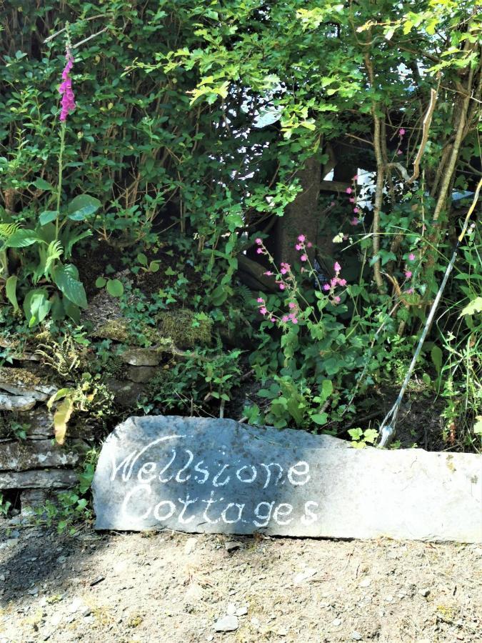 Wellstone Cottages - Jasmine Llanfyrnach Exterior foto